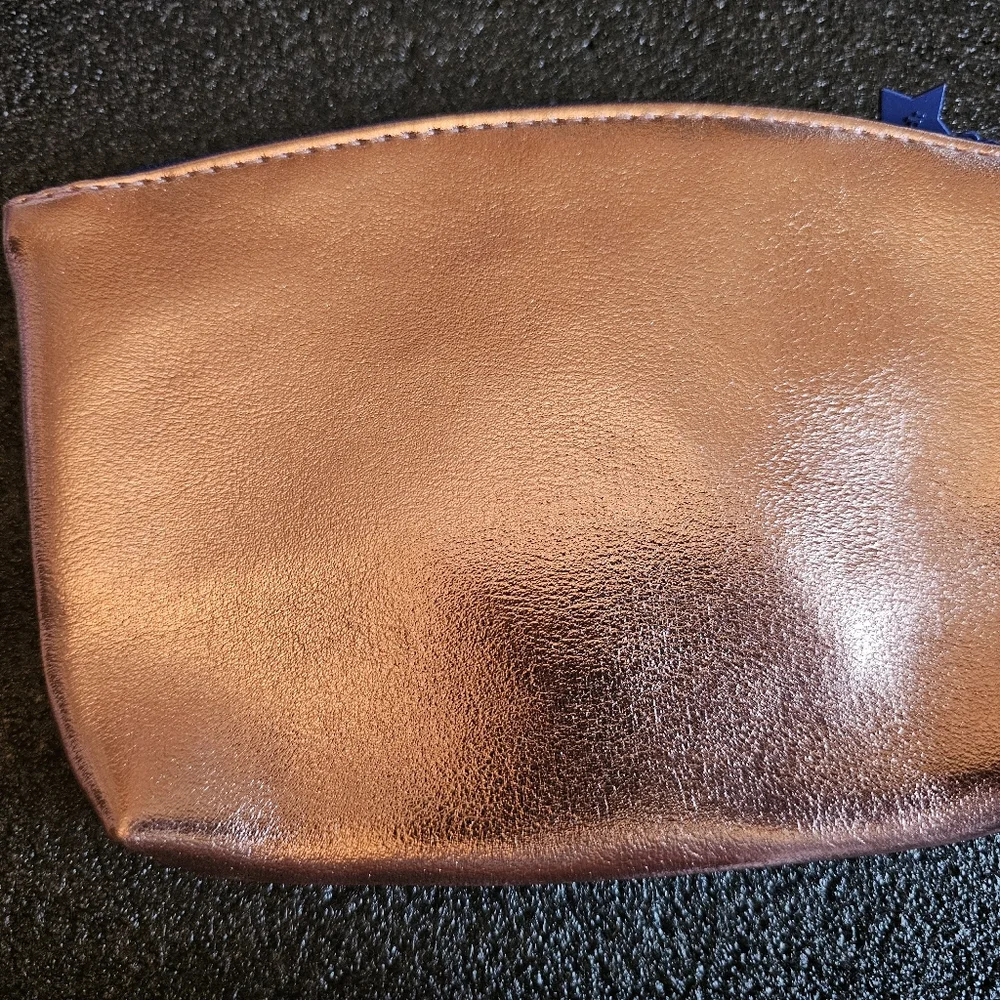 Brand New Never Used Beautiful Ipsy Makeup Bag